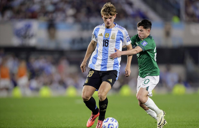 显著的作用 显著的作用